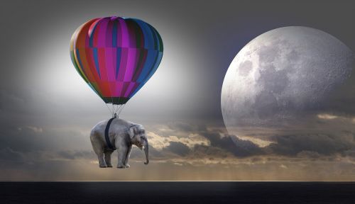 elephant weightless balloon