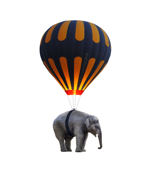 elephant balloon fly