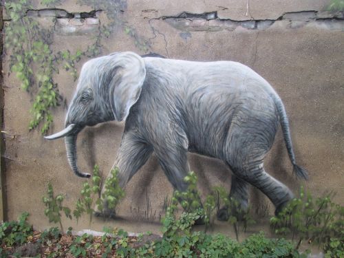 elephant wall art wall