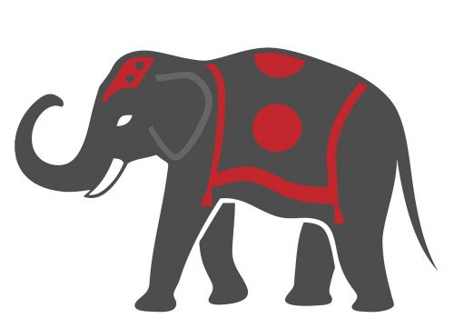 elephant indian animal