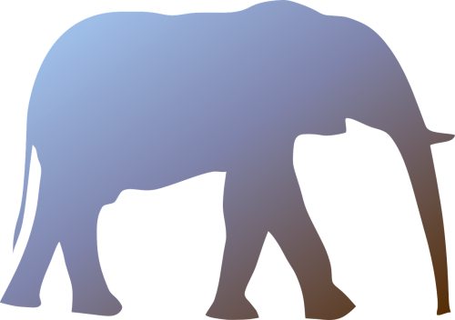 elephant mammal animal