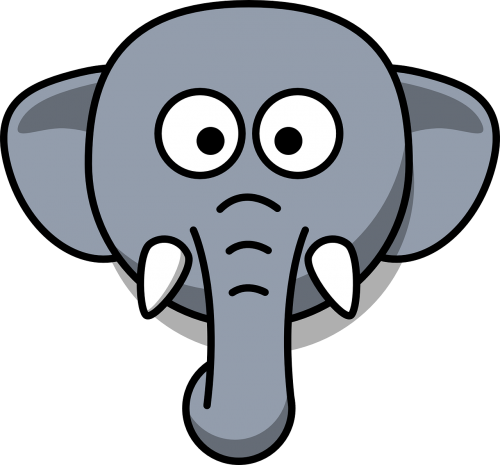 elephant head stupid
