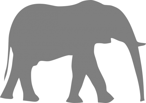 elephant walk gray