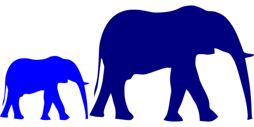 elephant baby mother