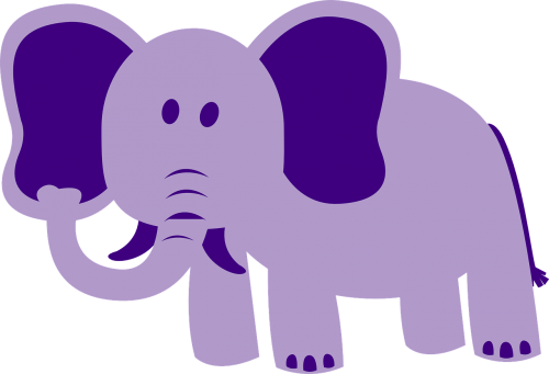 elephant large animal