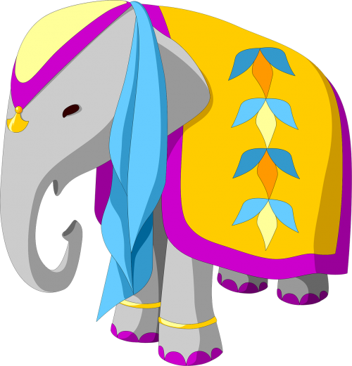 elephant indian gala