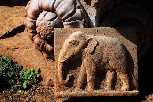 elephant culture sri lanka
