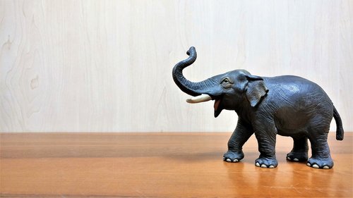 elephant  wallpaper  plastic