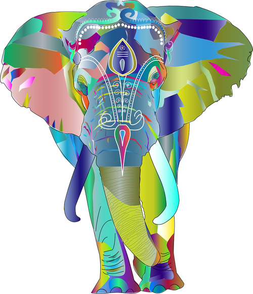 elephant  pachyderm  animal