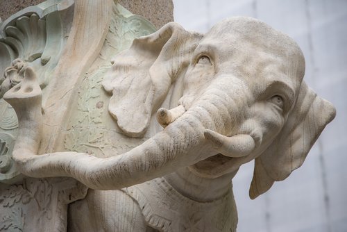elephant  pachyderm  statue