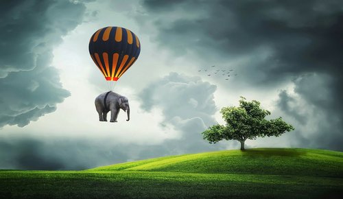 elephant  balloon  fly