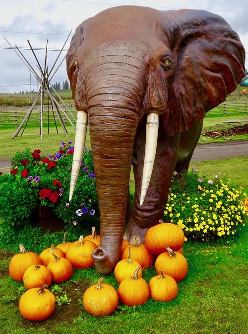 elephant  sculpture  statue