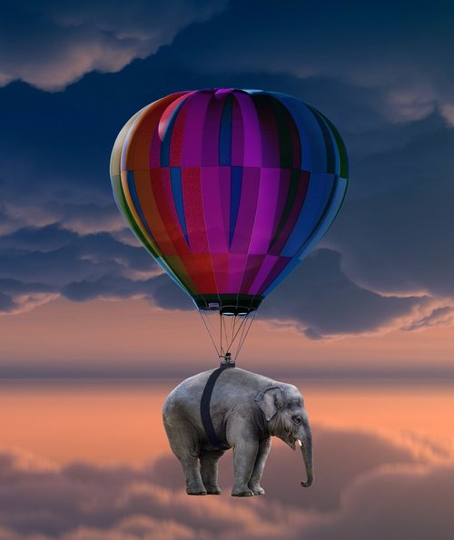 elephant  balloon  flying