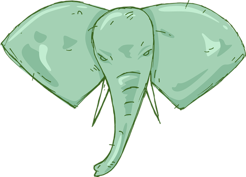 elephant  illustration  the head of the