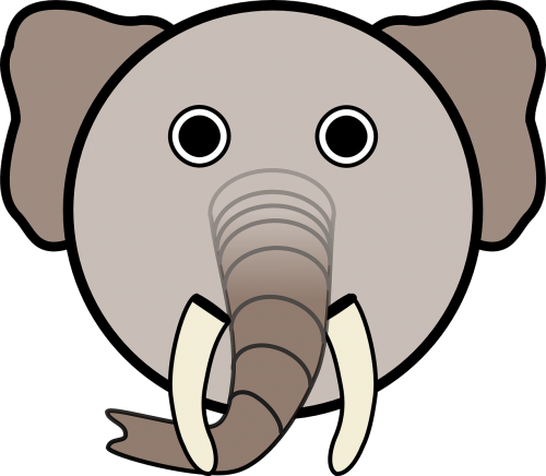 elephant animal head