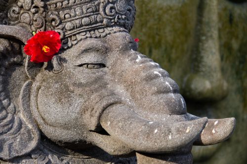 elephant hindu bali