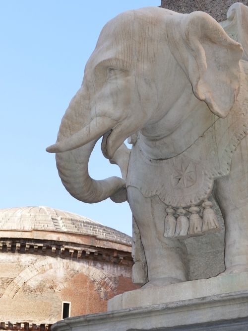 elephant bernini rome