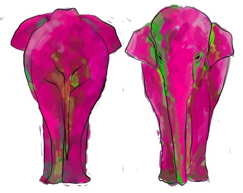 elephant illustration colors