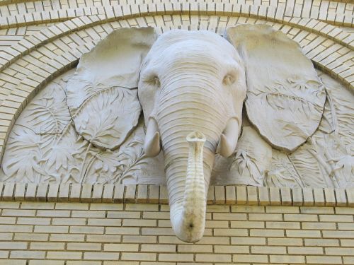 elephant head ornament