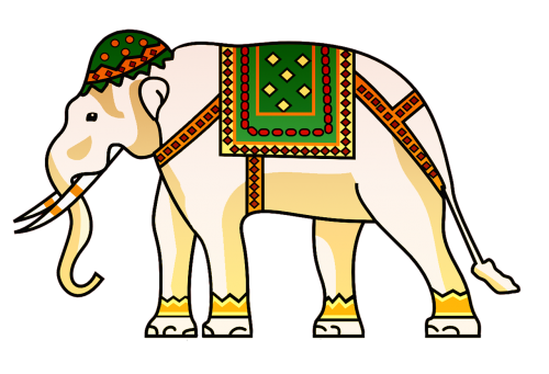 elephant indian animal