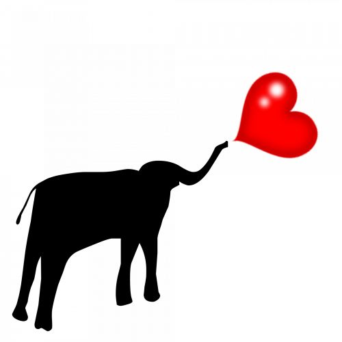 Elephant And Balloon