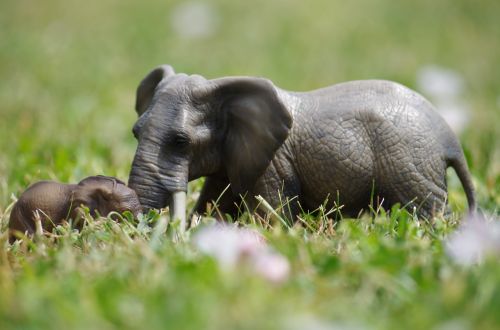 elephants toys grass