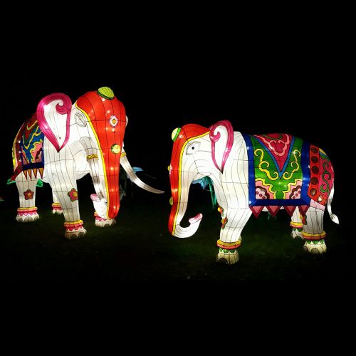 elephants lanterns indian