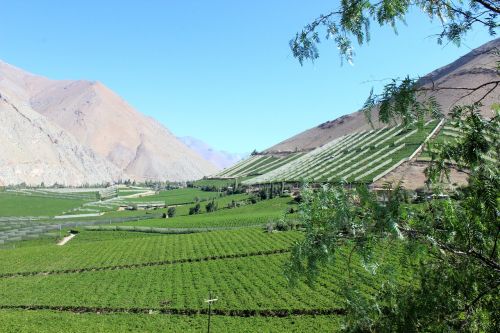 elqui valley chile people