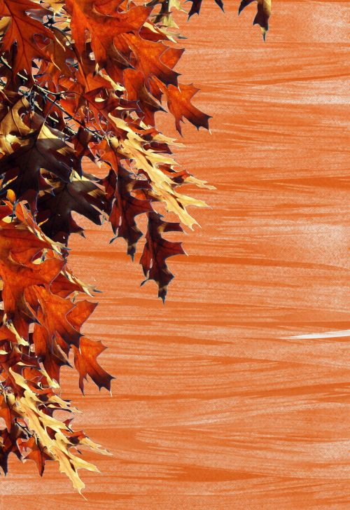 emerge autumn background