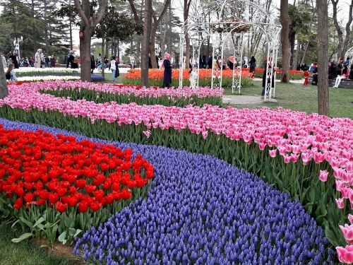 emirgan tulips festival