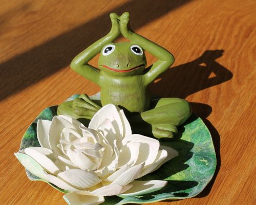 emotion yoga frog character