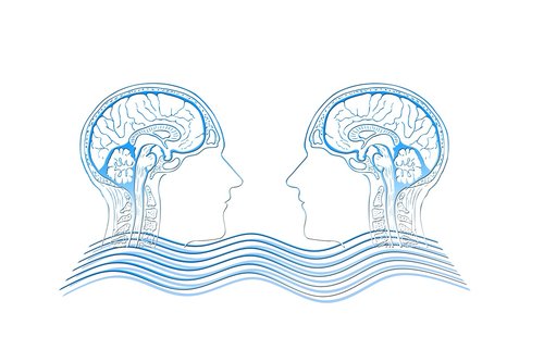 empathy  head  brain