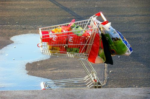 empties shopping cart collect bottles
