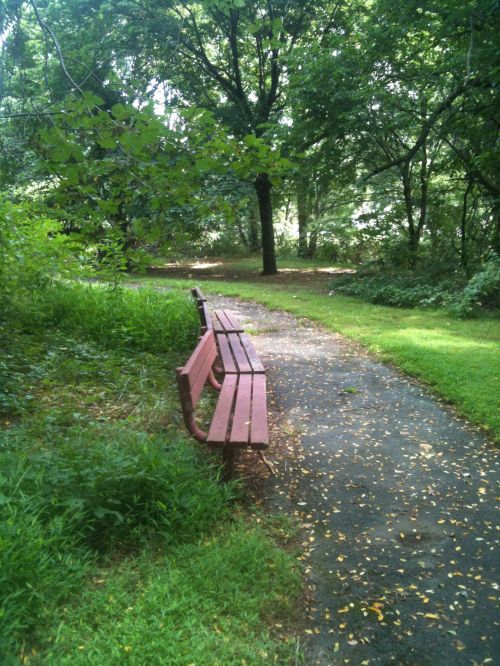 Empty Bench