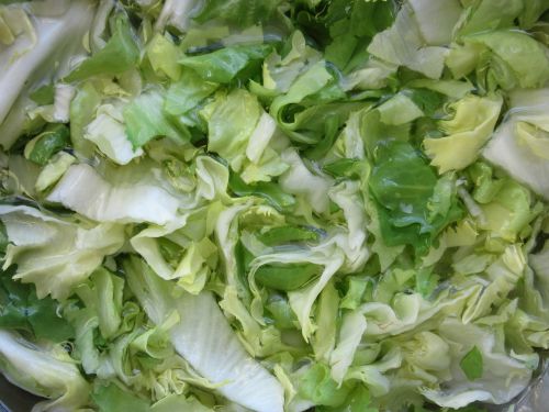 endive salad vegetables