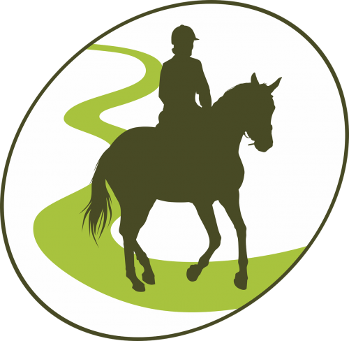 endurance horseback riding horse