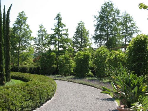 enea garden rapperswil landscape