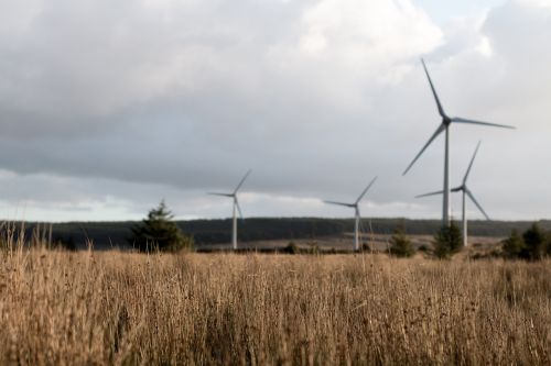 energy long grass turbines
