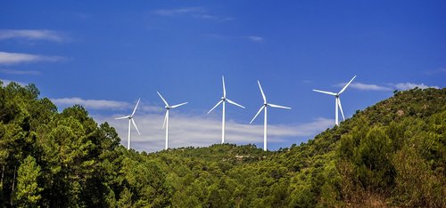 energy  wind  ecology