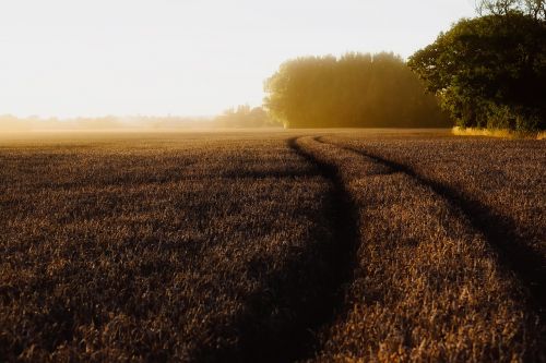 england landscape scenic