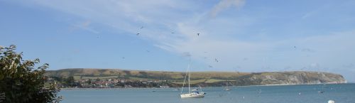england boat sea gulls