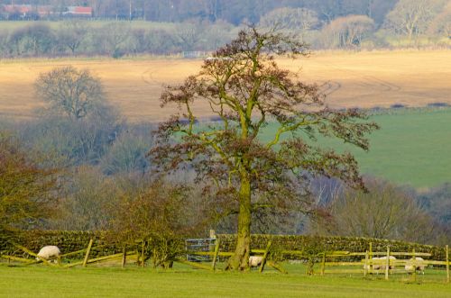 England Landscape