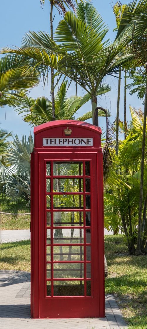 english phone booth tropical palm trees