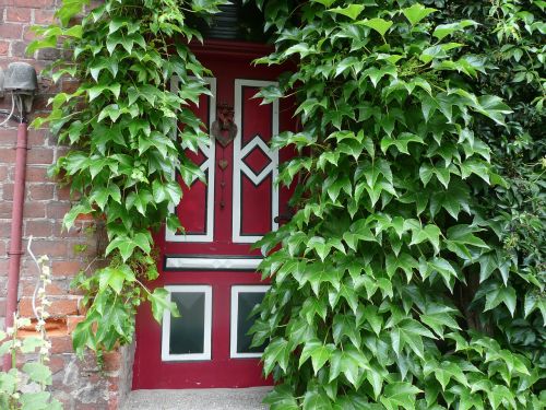 entrance door ivy green