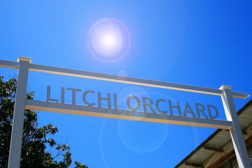 Entrance To Litchi Orchard