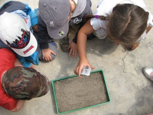 environmental education nature activities