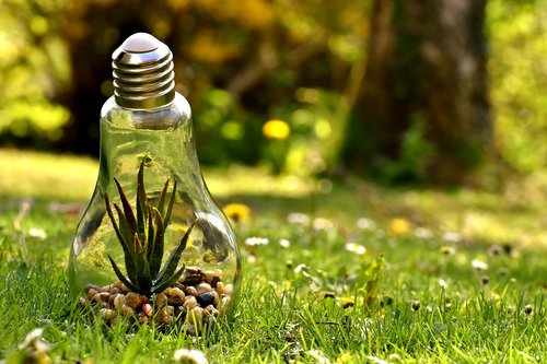 environmental protection  nature  light bulb