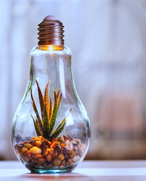 environmental protection  nature  light bulb