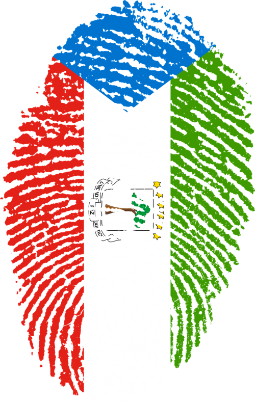 equatorial guinea flag fingerprint