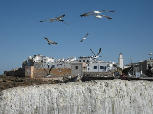 essaouira morocco coast